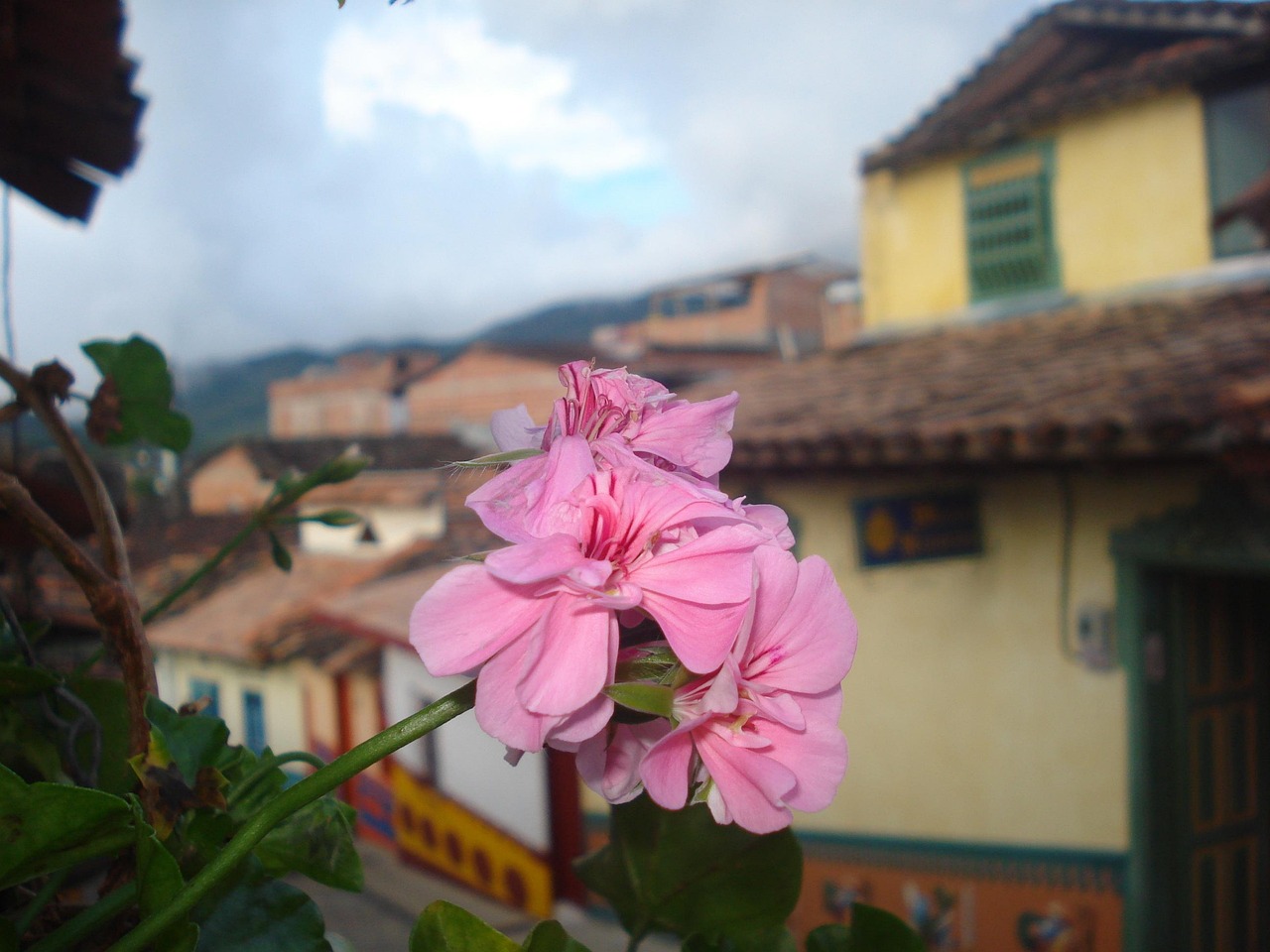 Group of tourists exploring Medellin